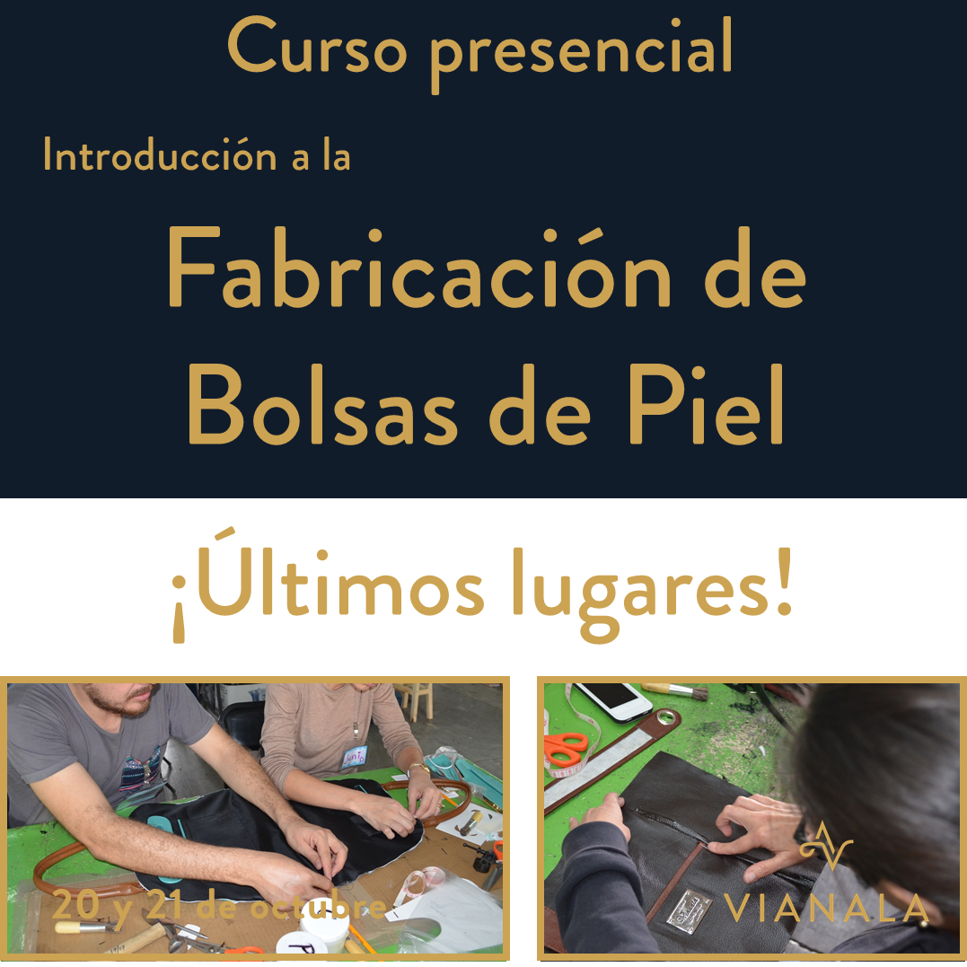 Curso con Beca