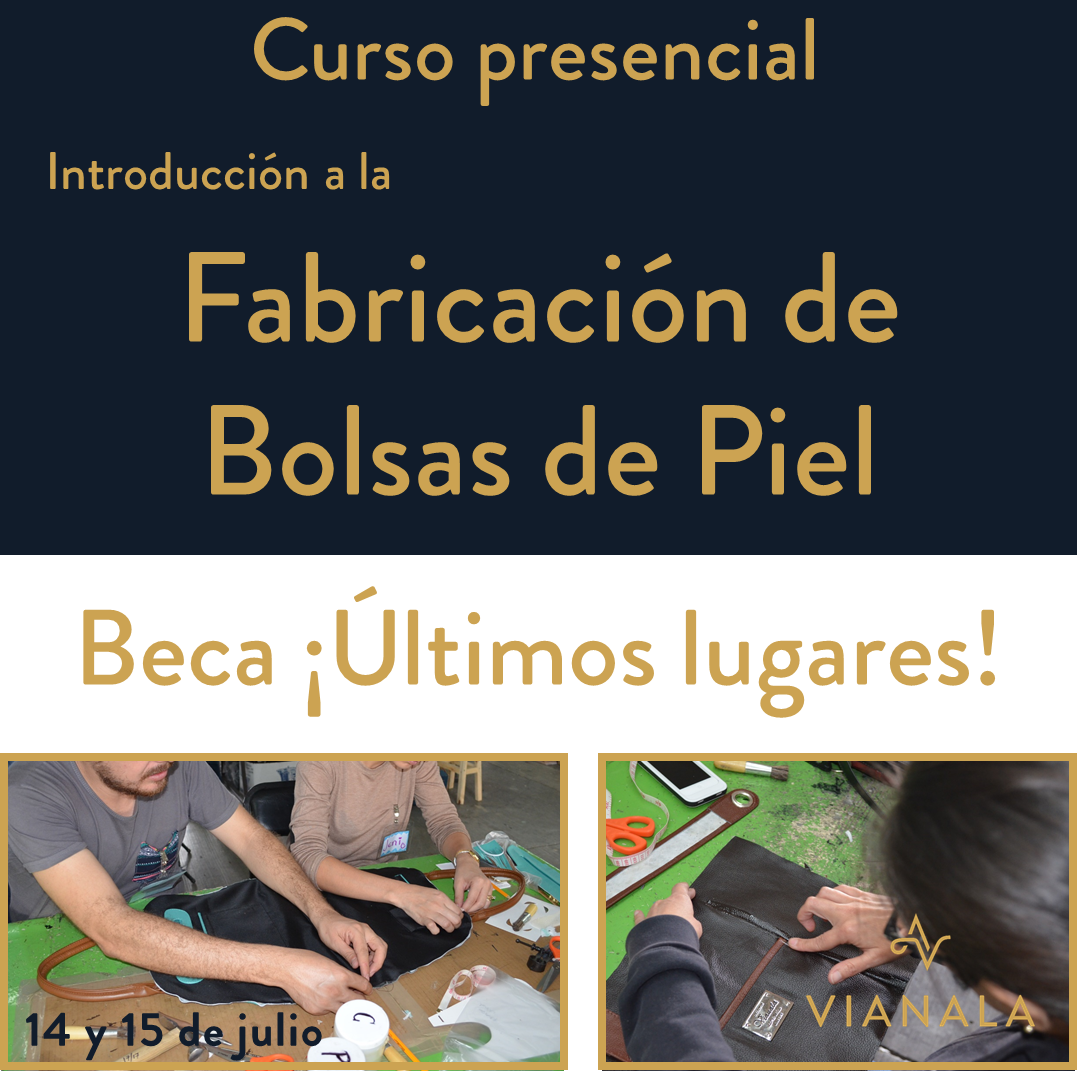 Curso con Beca