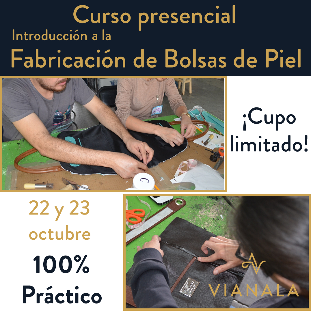 Curso con Beca
